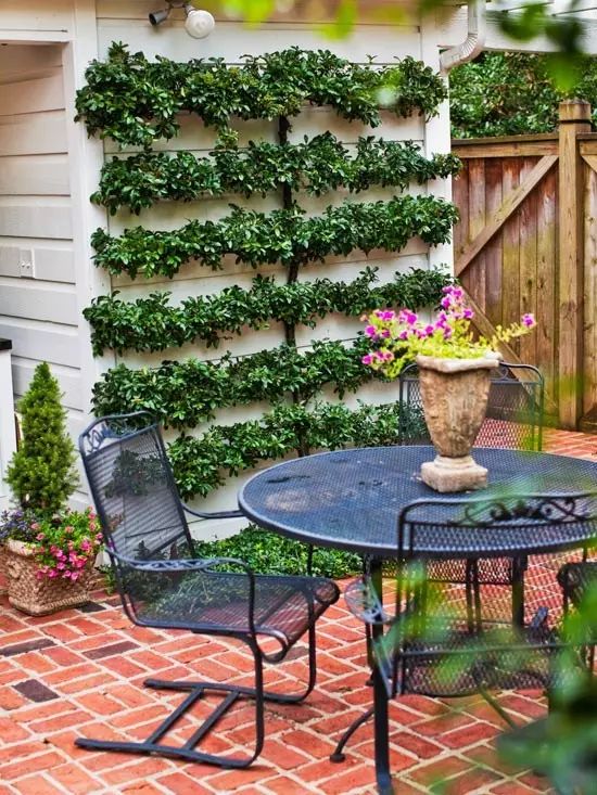 Los 7 mejores consejos de jardinería que debes conocer