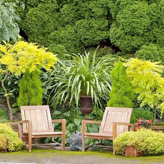 Los 7 mejores consejos de jardinería que debes conocer