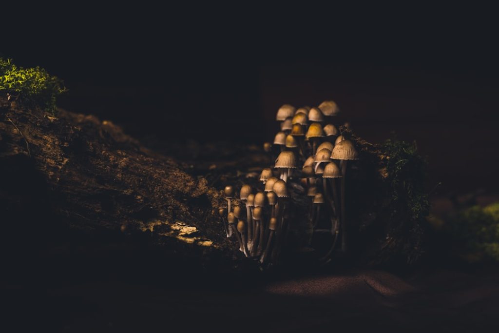 Photo Nordic Lava Chandelier