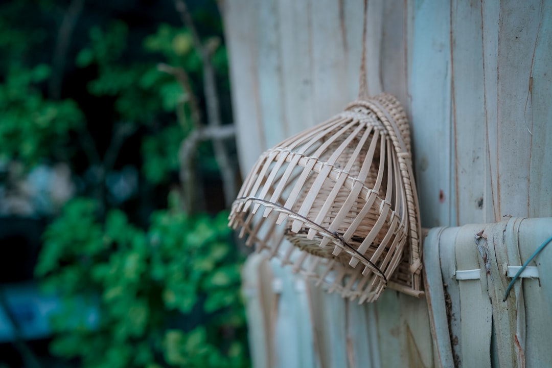 Photo rattan plug in sconce